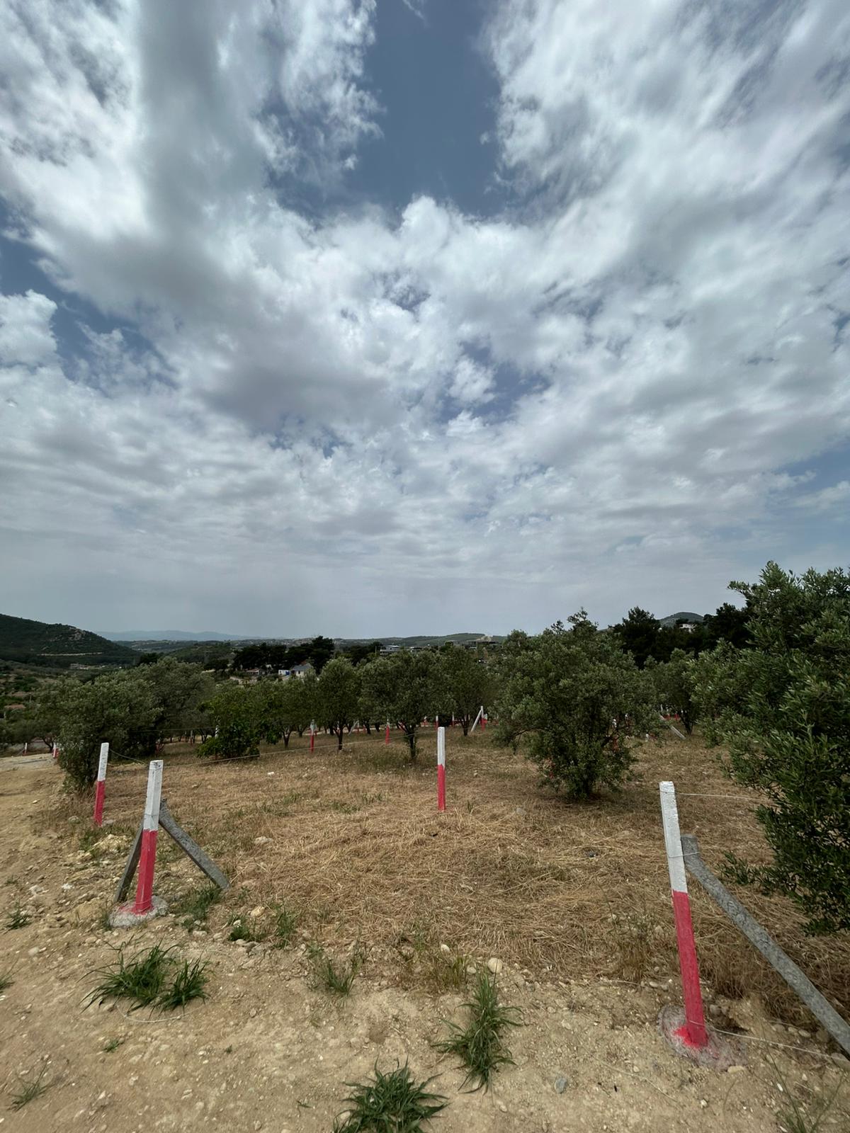 Şehir yakınında geniş arsa, yeşil alan ve açık gökyüzü